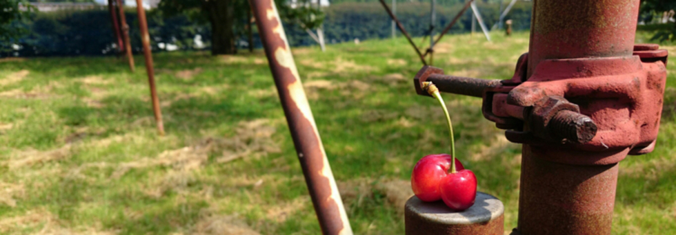 レビュアーのカバー画像