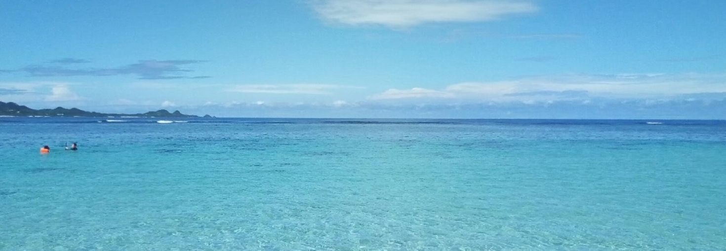 レビュアーのカバー画像