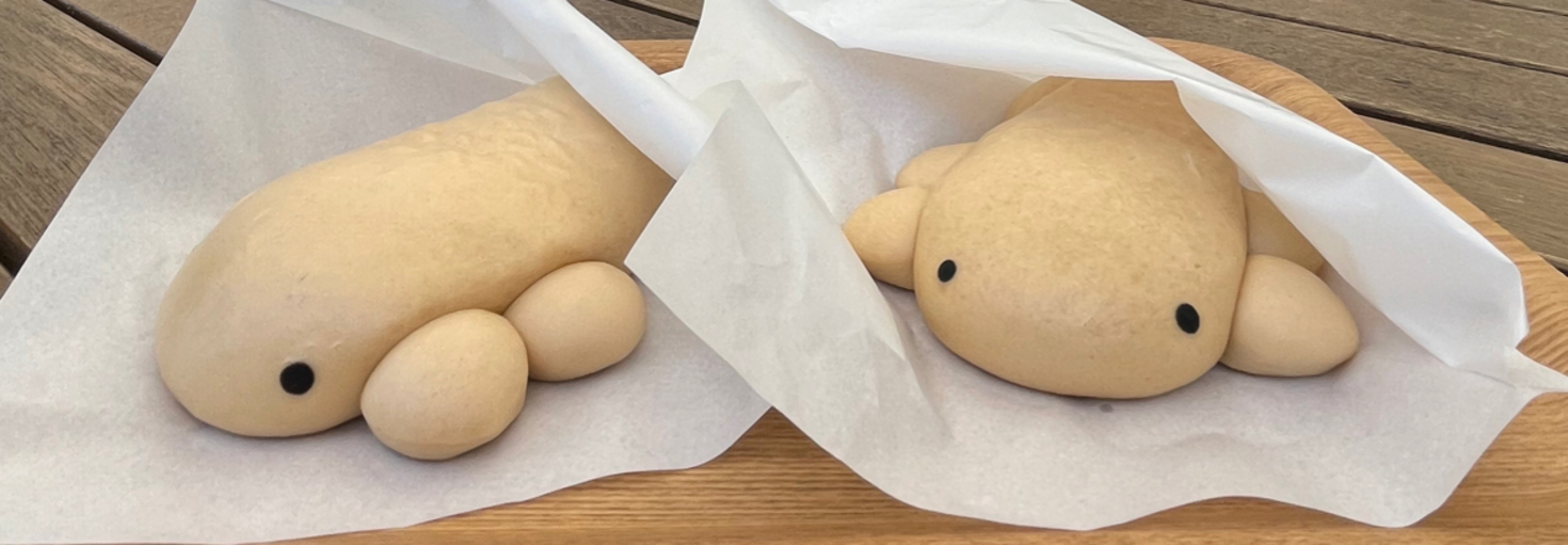 レビュアーのカバー画像