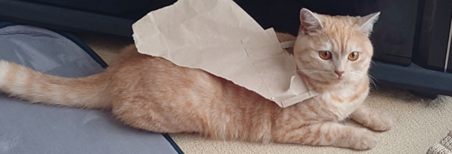 レビュアーのカバー画像