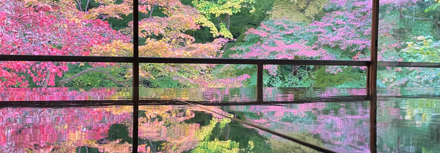 レビュアーのカバー画像