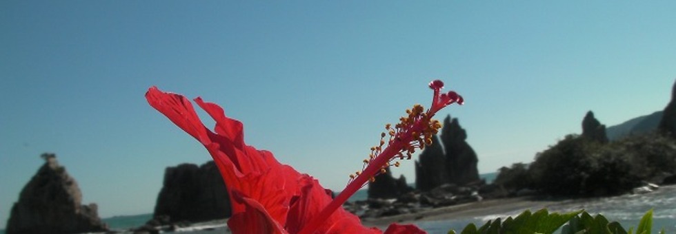 レビュアーのカバー画像