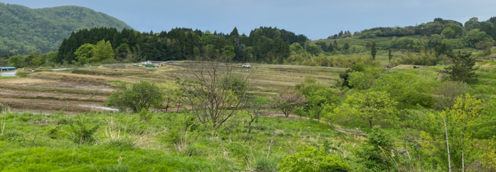 レビュアーのカバー画像