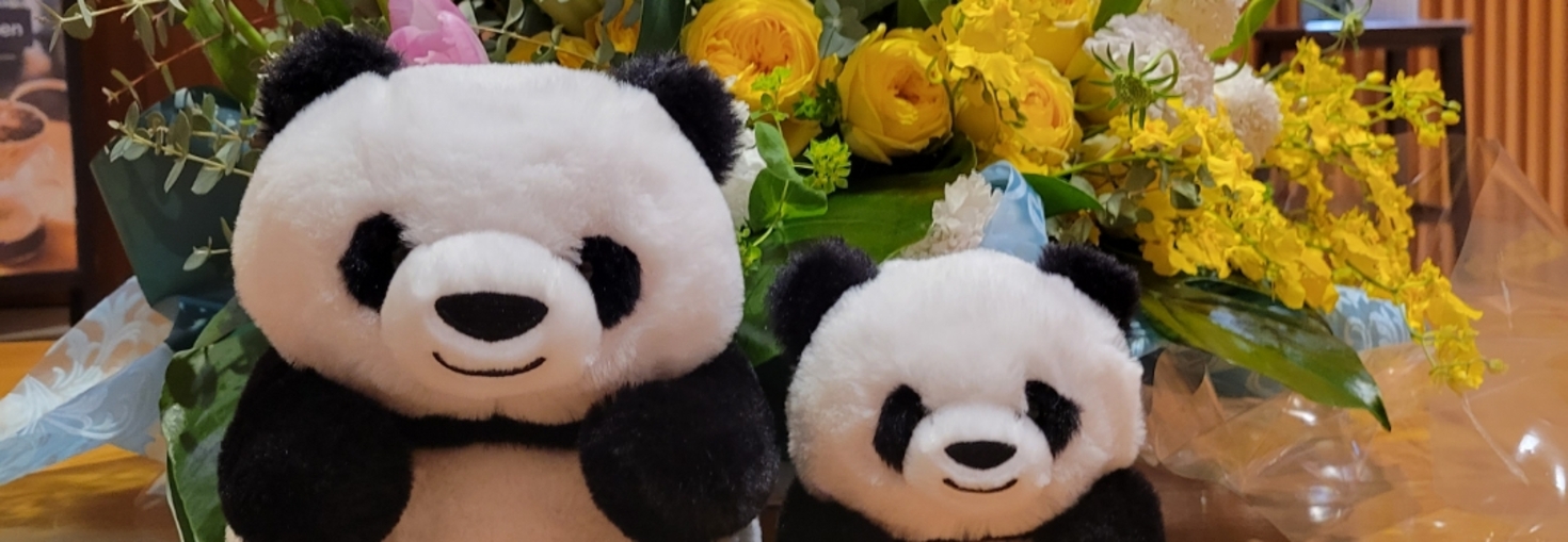 レビュアーのカバー画像