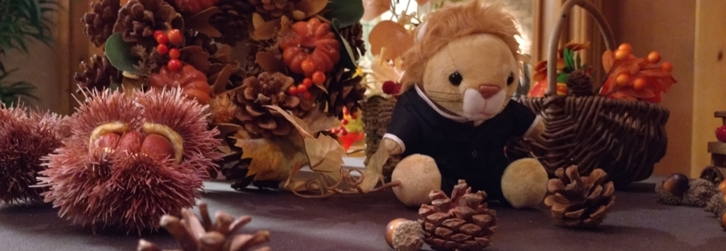 レビュアーのカバー画像