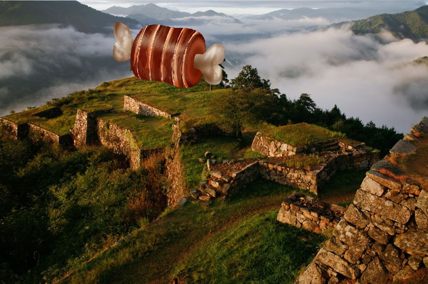 レビュアーのカバー画像