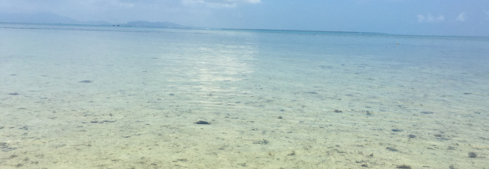 レビュアーのカバー画像