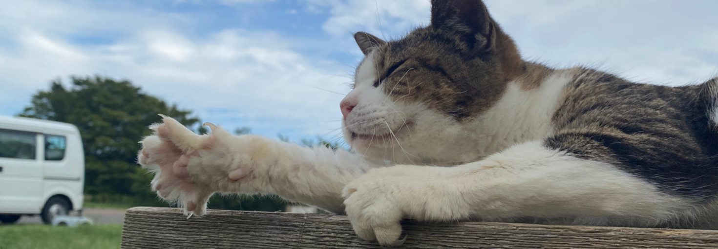 レビュアーのカバー画像