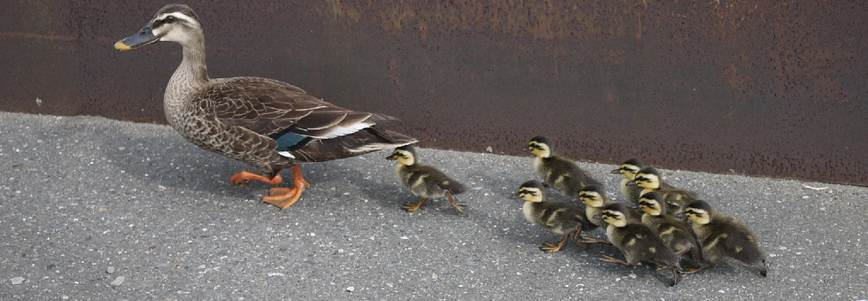 レビュアーのカバー画像