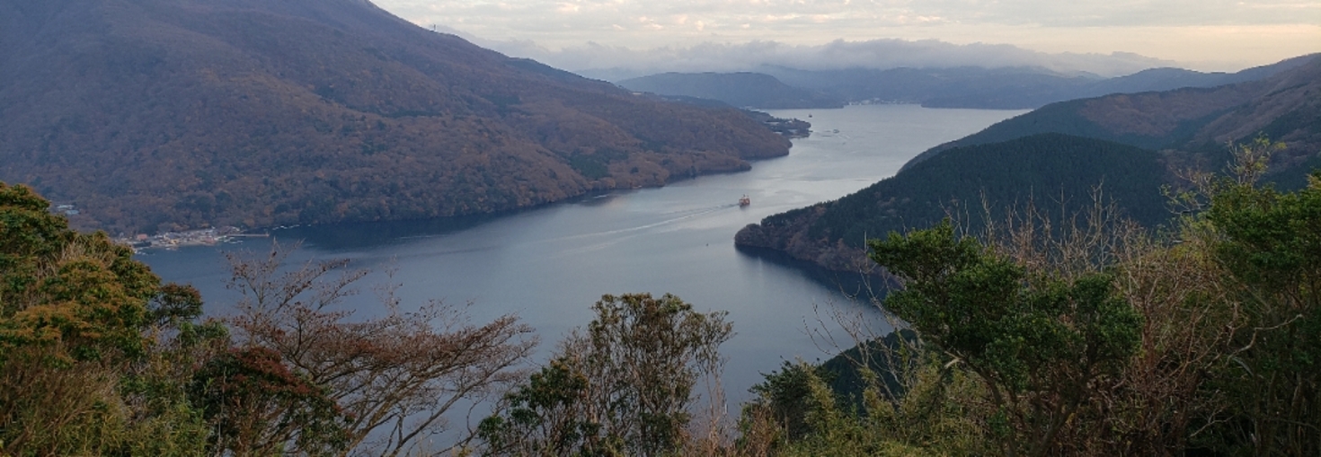 レビュアーのカバー画像