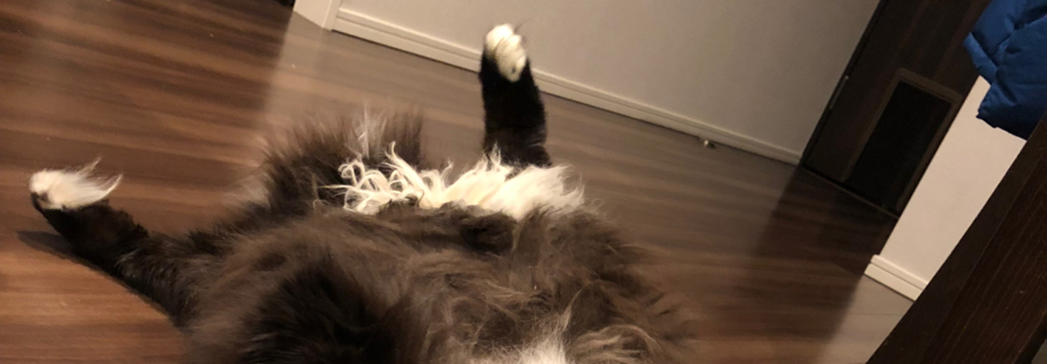 レビュアーのカバー画像