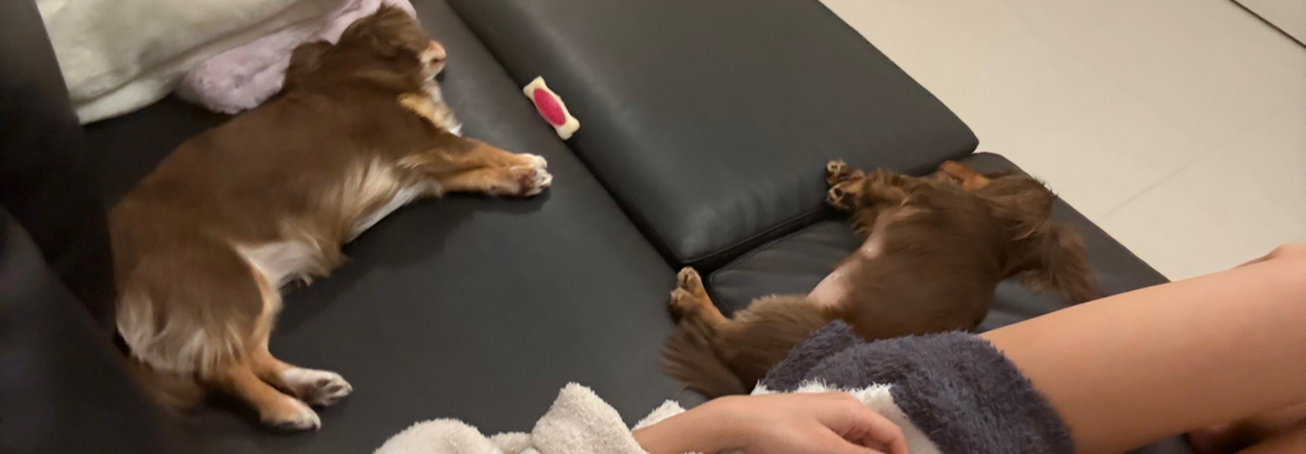 レビュアーのカバー画像