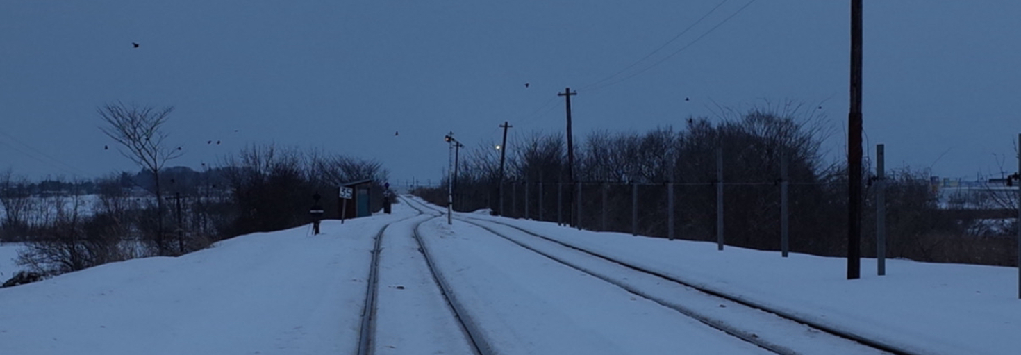 レビュアーのカバー画像