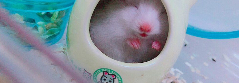 レビュアーのカバー画像