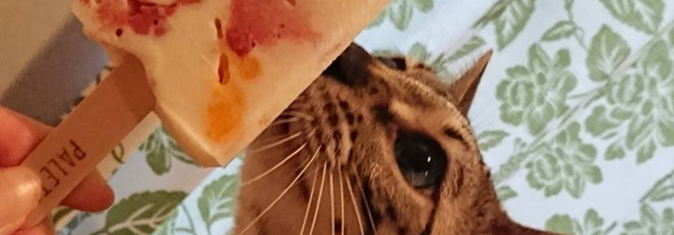 レビュアーのカバー画像