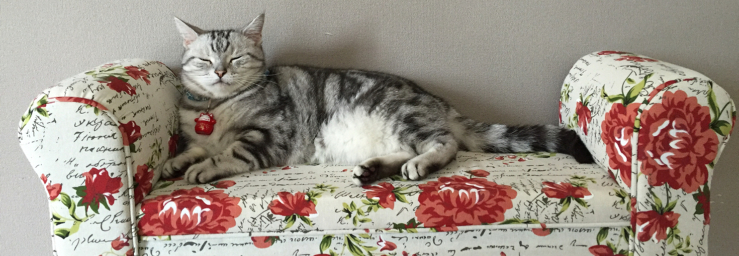 レビュアーのカバー画像