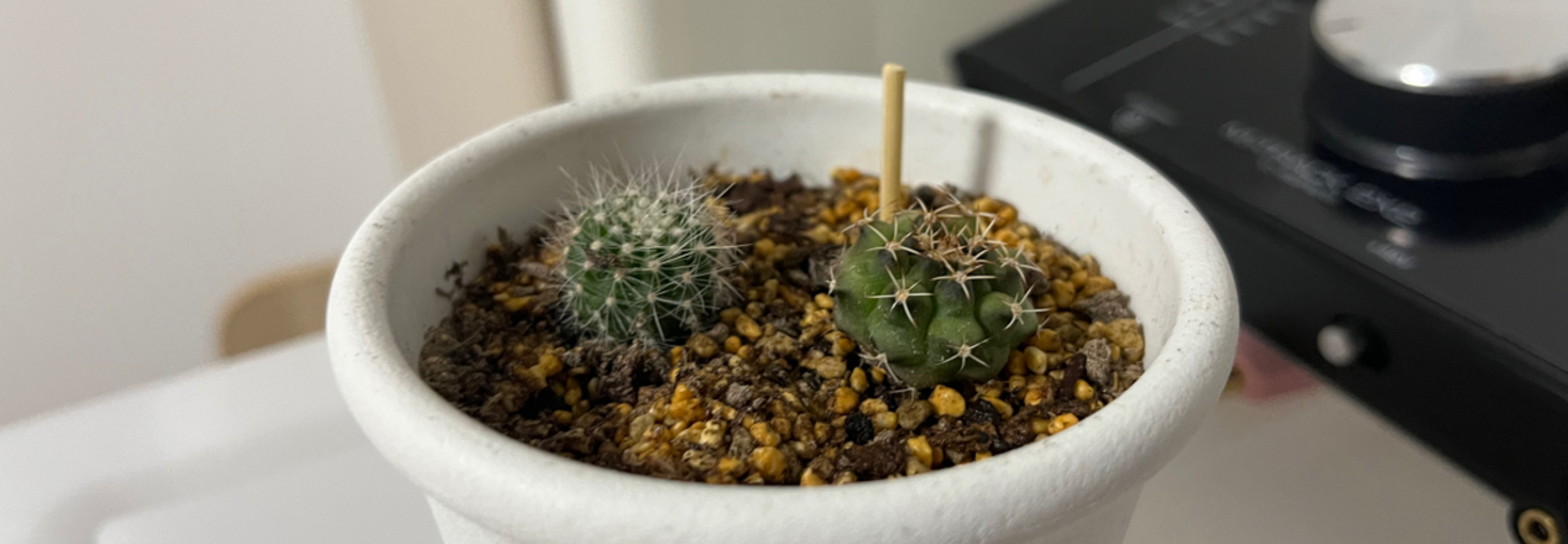 レビュアーのカバー画像