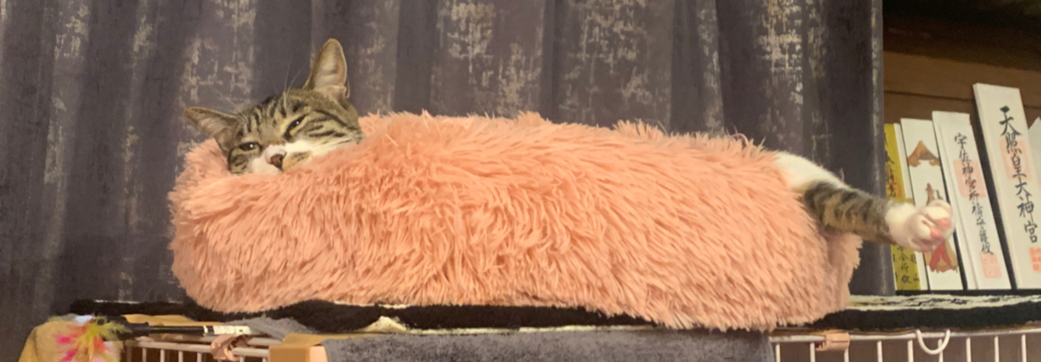 レビュアーのカバー画像