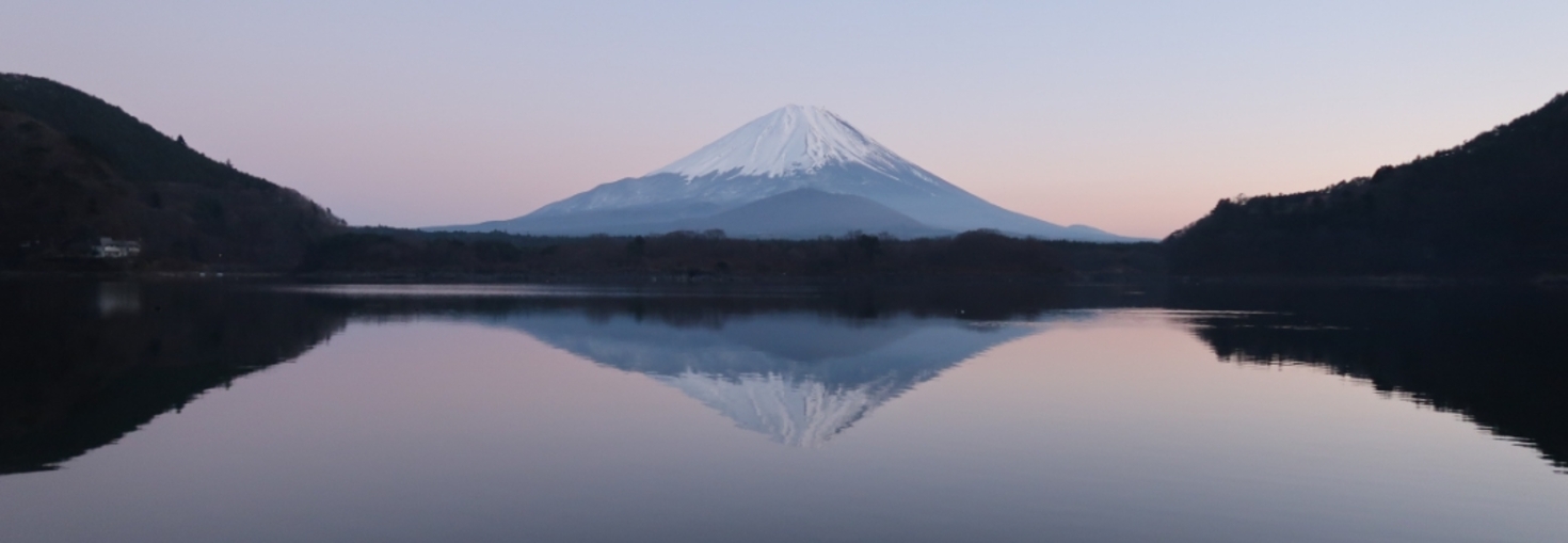 レビュアーのカバー画像