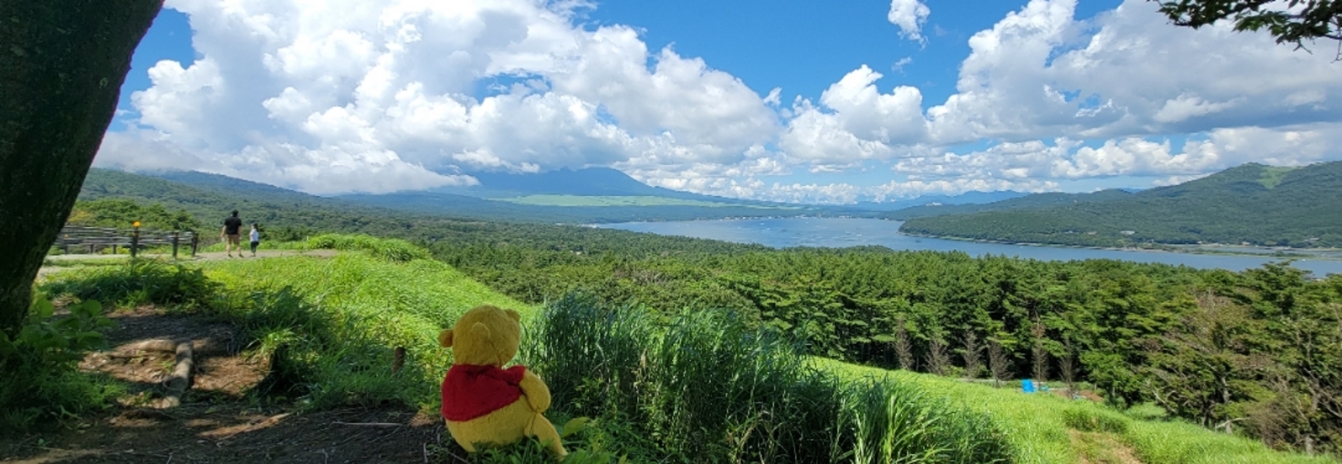 レビュアーのカバー画像