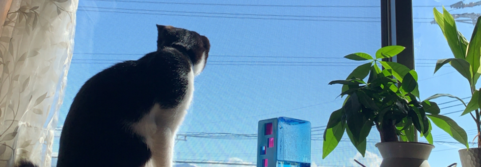 レビュアーのカバー画像