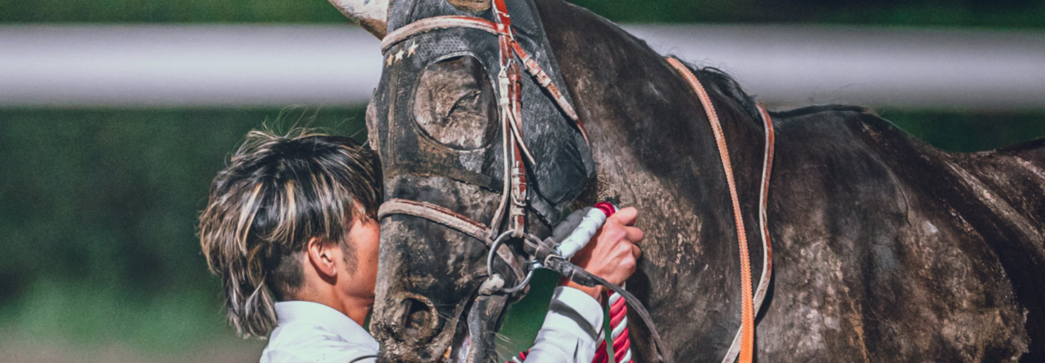 レビュアーのカバー画像