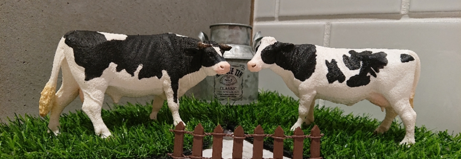 レビュアーのカバー画像