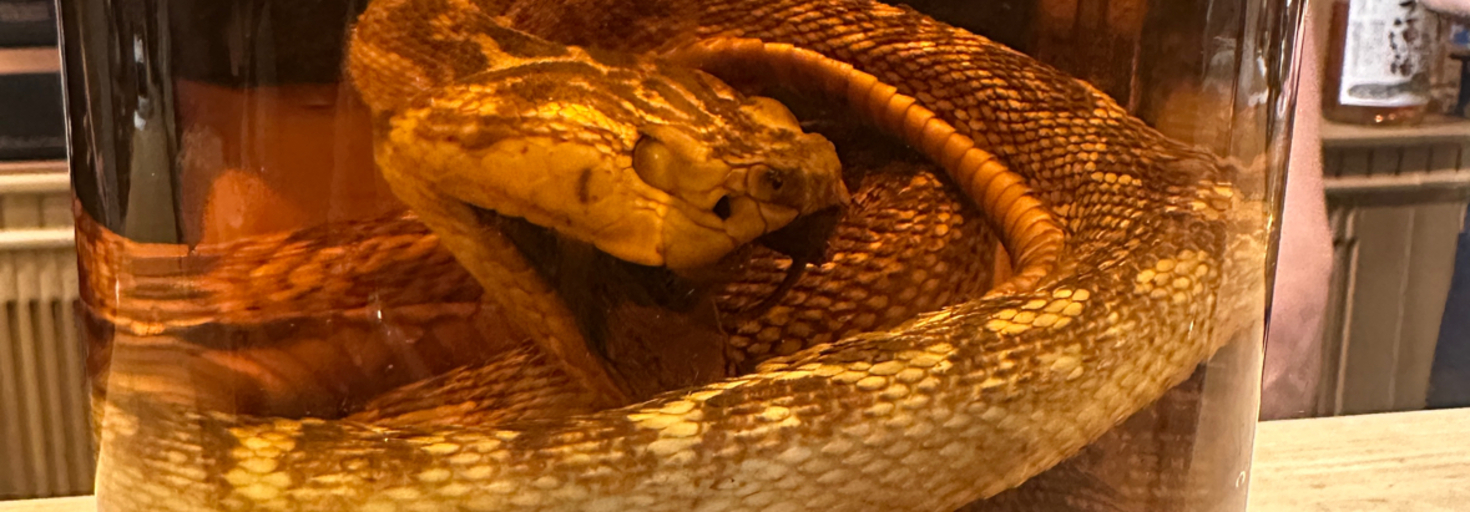 レビュアーのカバー画像