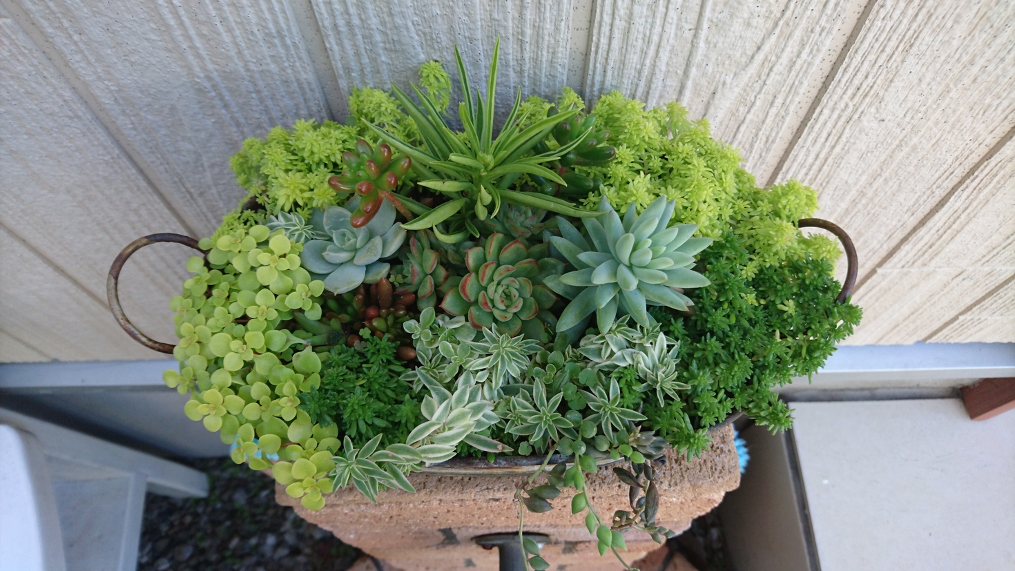 レビュアーのカバー画像