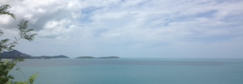 レビュアーのカバー画像