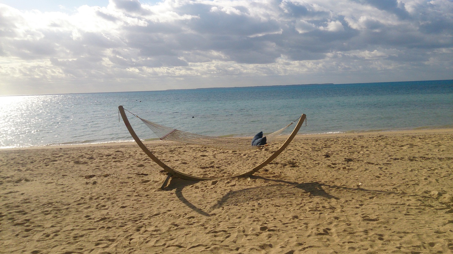 レビュアーのカバー画像