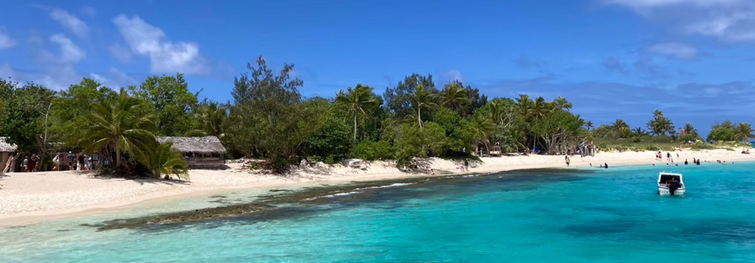 レビュアーのカバー画像