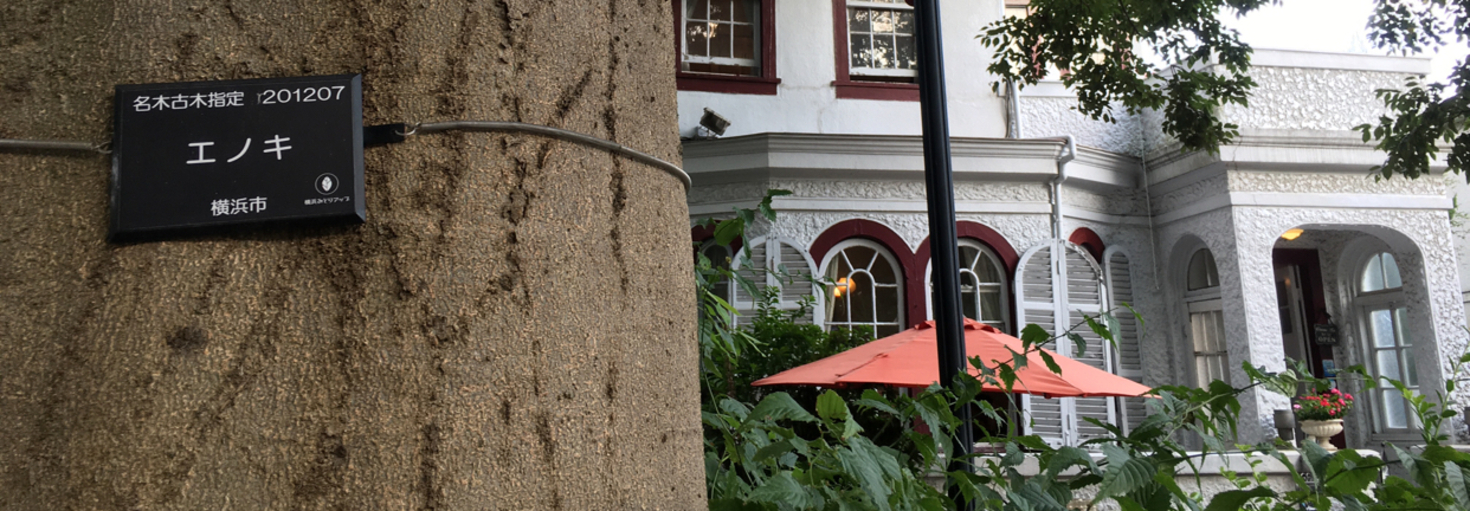 レビュアーのカバー画像