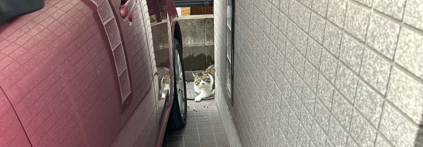 レビュアーのカバー画像