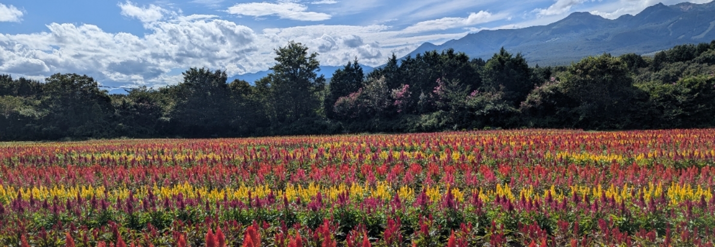 レビュアーのカバー画像