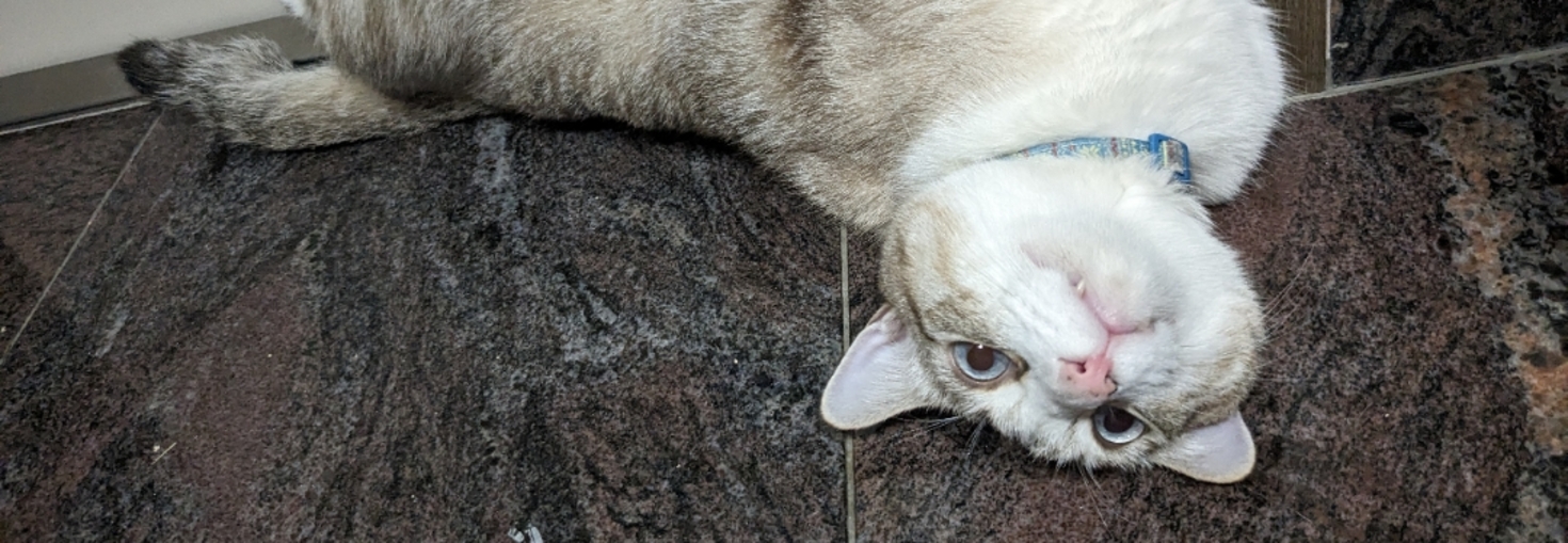 レビュアーのカバー画像