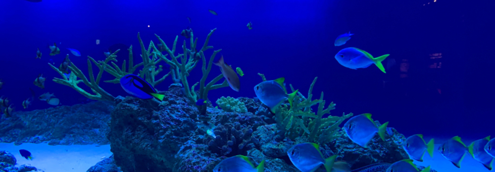 レビュアーのカバー画像