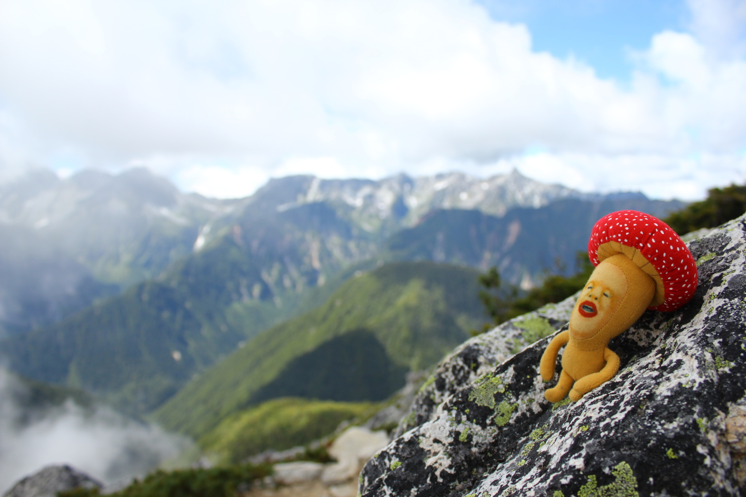 レビュアーのカバー画像