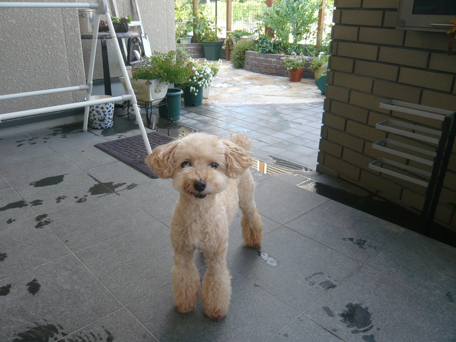 レビュアーのカバー画像