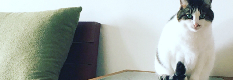 レビュアーのカバー画像