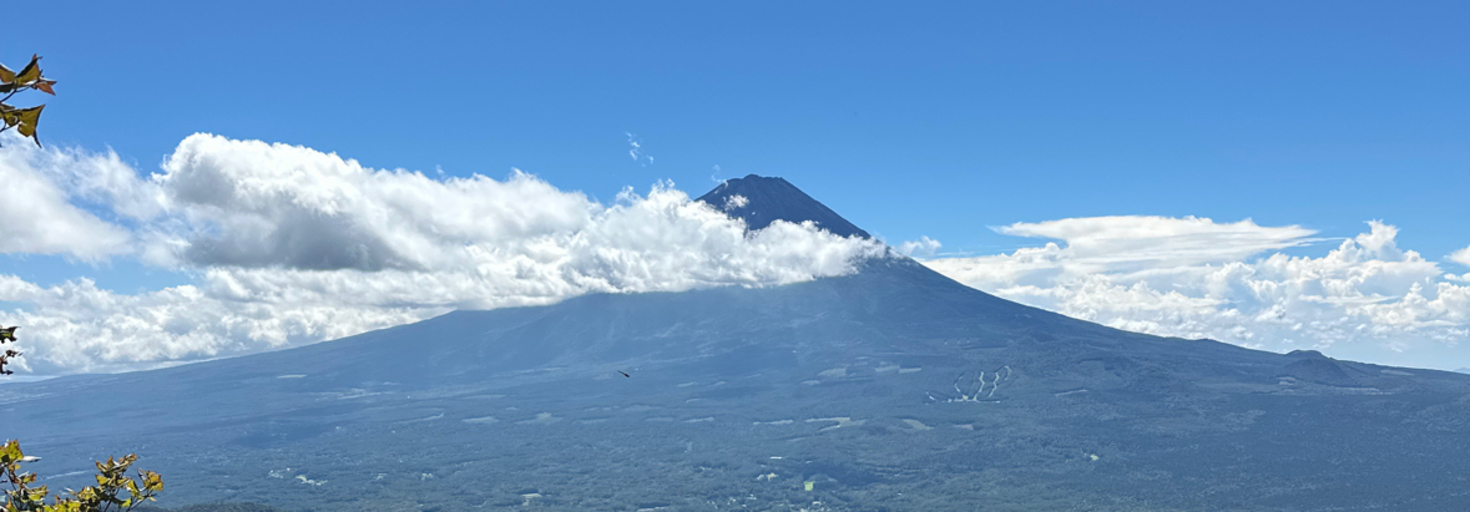 レビュアーのカバー画像