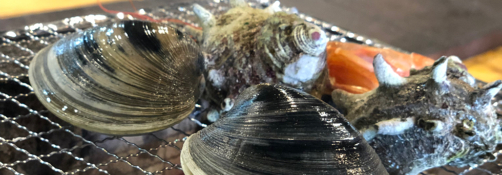 レビュアーのカバー画像