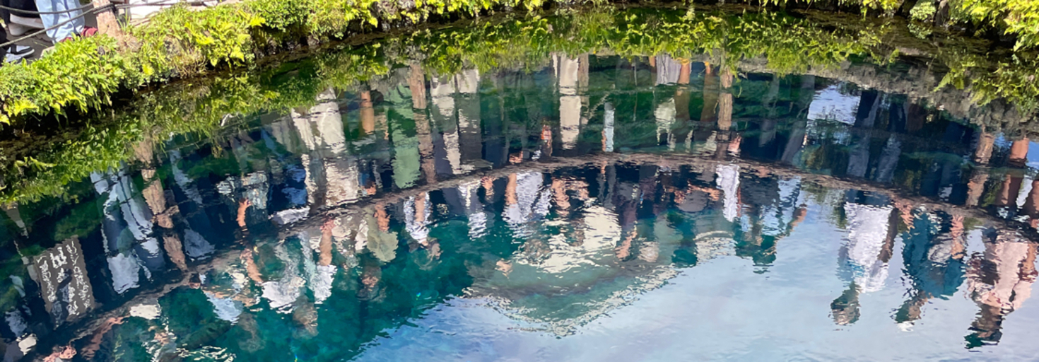 レビュアーのカバー画像