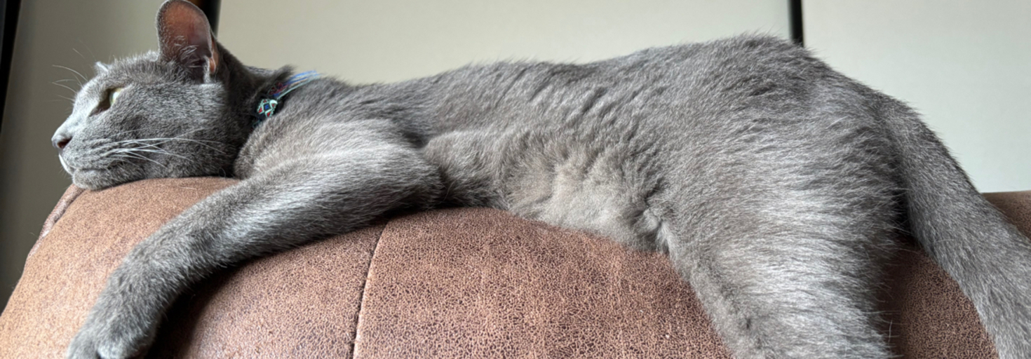 レビュアーのカバー画像