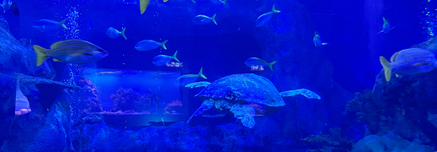 レビュアーのカバー画像