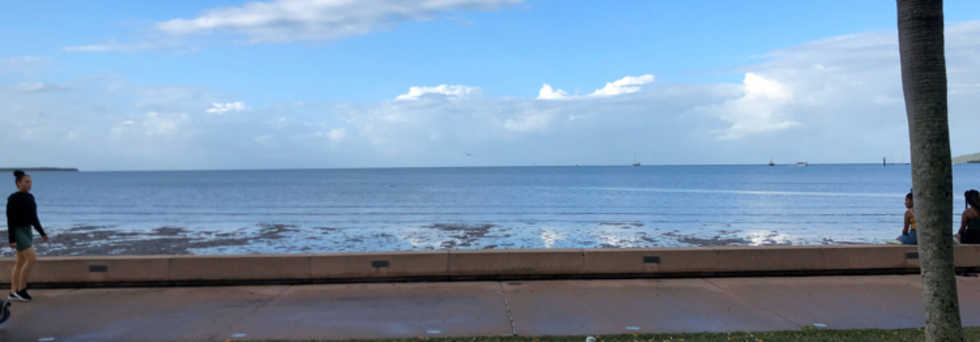 レビュアーのカバー画像