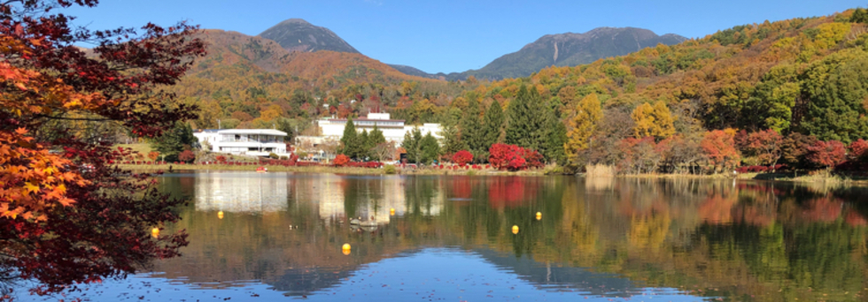 レビュアーのカバー画像