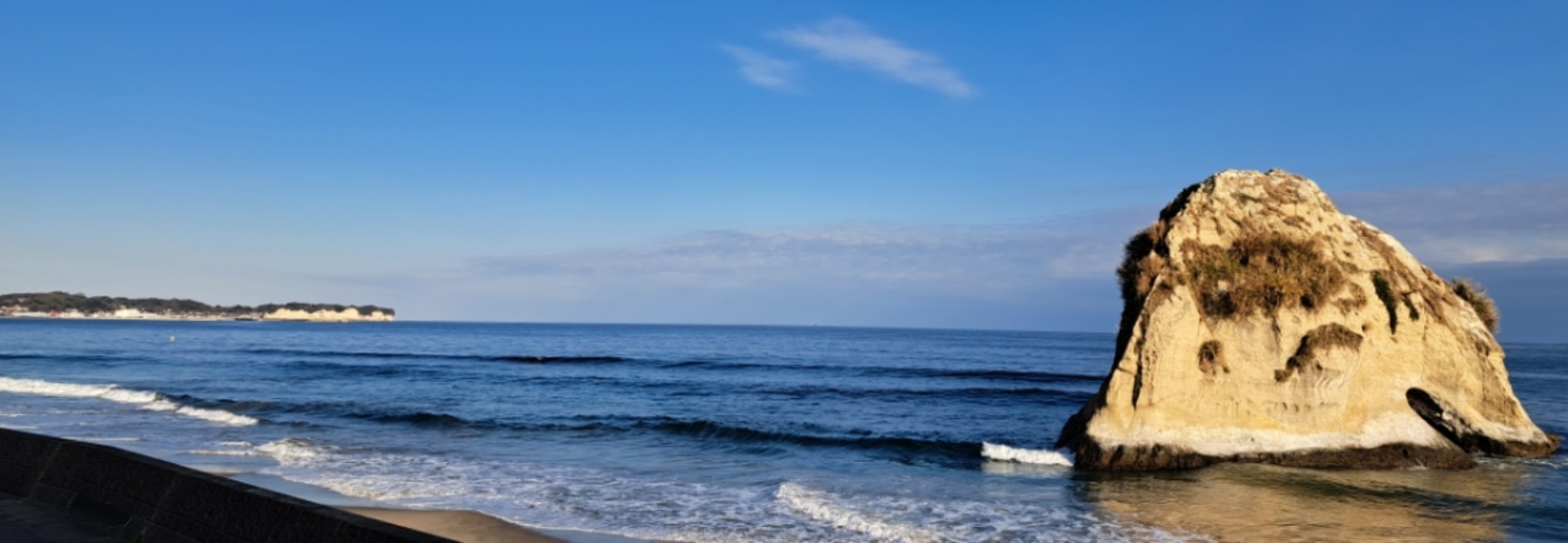 レビュアーのカバー画像