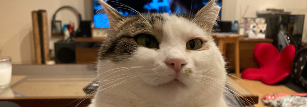 レビュアーのカバー画像