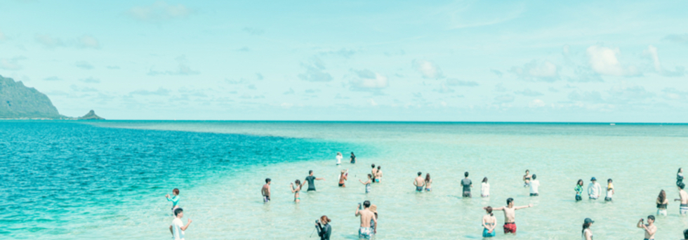 レビュアーのカバー画像